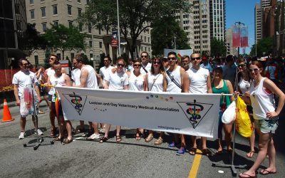 SAVE THE DATES: World Pride 2019 and Stonewall 50: June 2019 in NYC