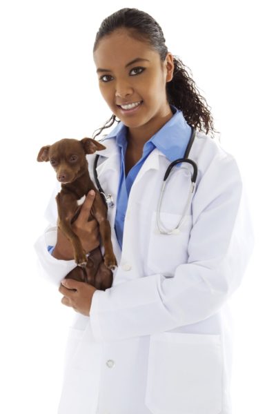 Diversity In Veterinary Medicine