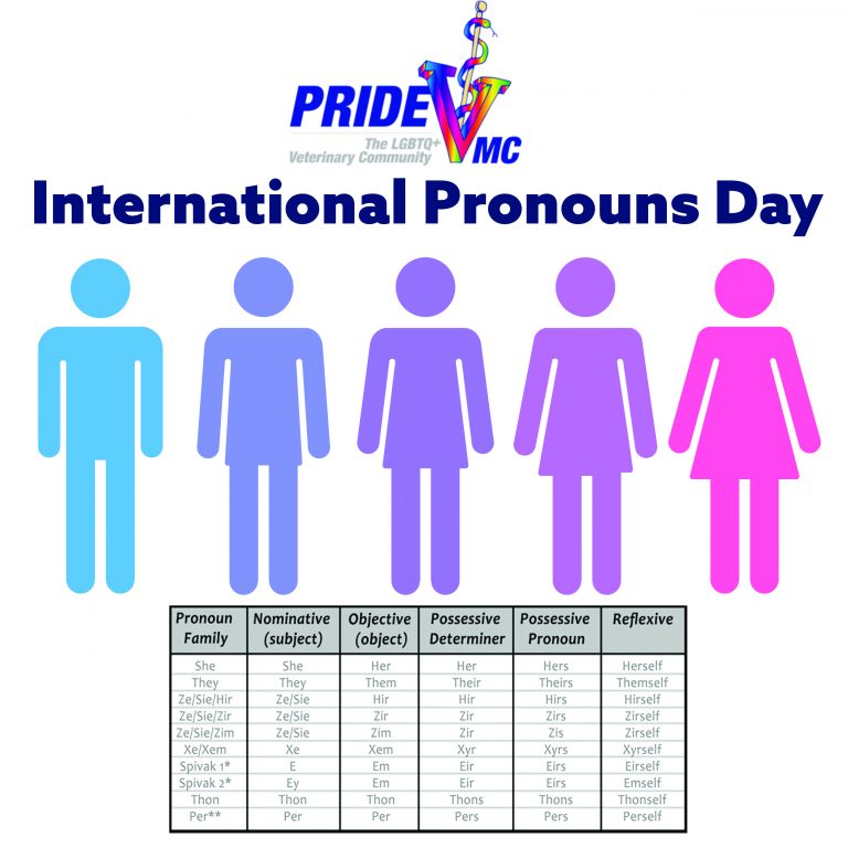 International Pronouns Day Pride Veterinary Medical Community