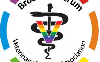Broad Spectrum Accepting Applications for 2019-20 Leadership Team