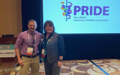 PrideVMC at WVC 2020