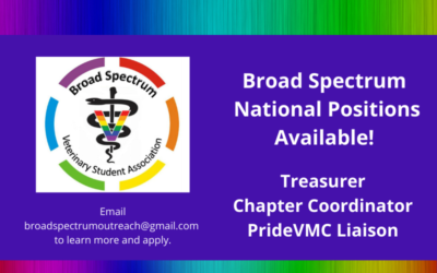 Apply Now for Leadership Positions with the Student Arm of PrideVMC