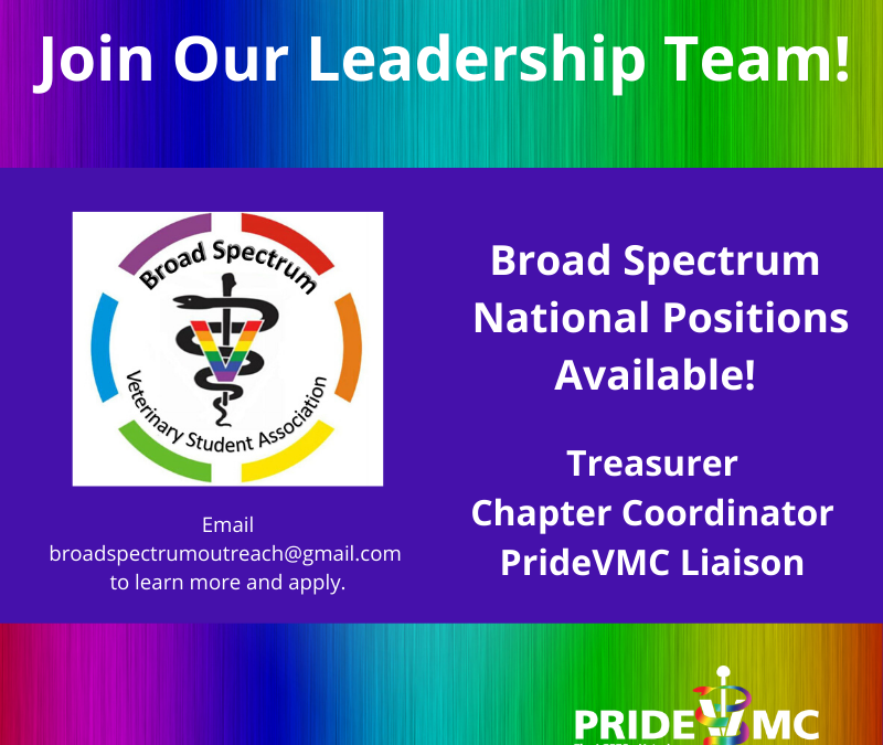 Apply Now for Leadership Positions with the Student Arm of PrideVMC