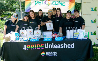 celebrate with love, lead with pride
