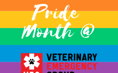 Pride Month at VEG