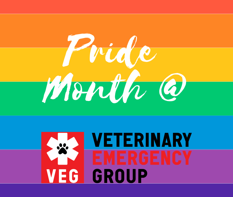 pride month at VEG