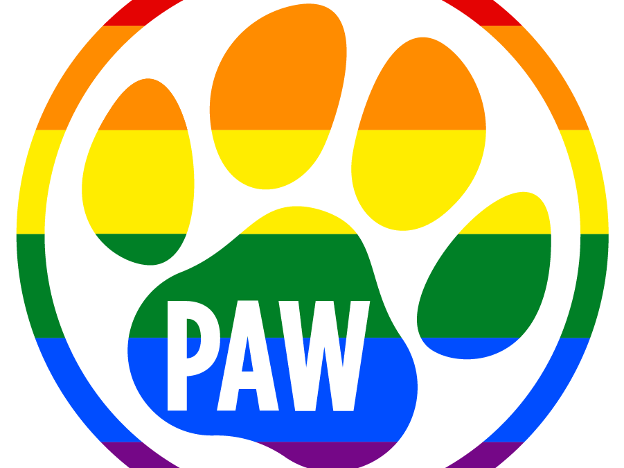 colorful paw logo