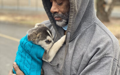 Giving Back & Making a Difference with The Street Dog Coalition
