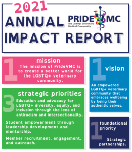 2021 PrideVMC Annual Impact Report header