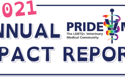 PrideVMC Annual Impact Report – 2021
