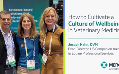 How to Cultivate a Culture of Wellbeing in Veterinary Medicine