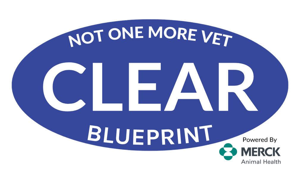 NOMV Clear Blueprint