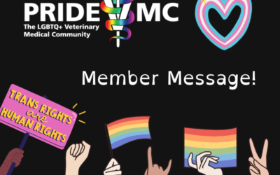 PrideVMC June 2023 Member Message