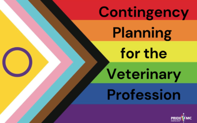 In the Moment Planning for the Veterinary Profession