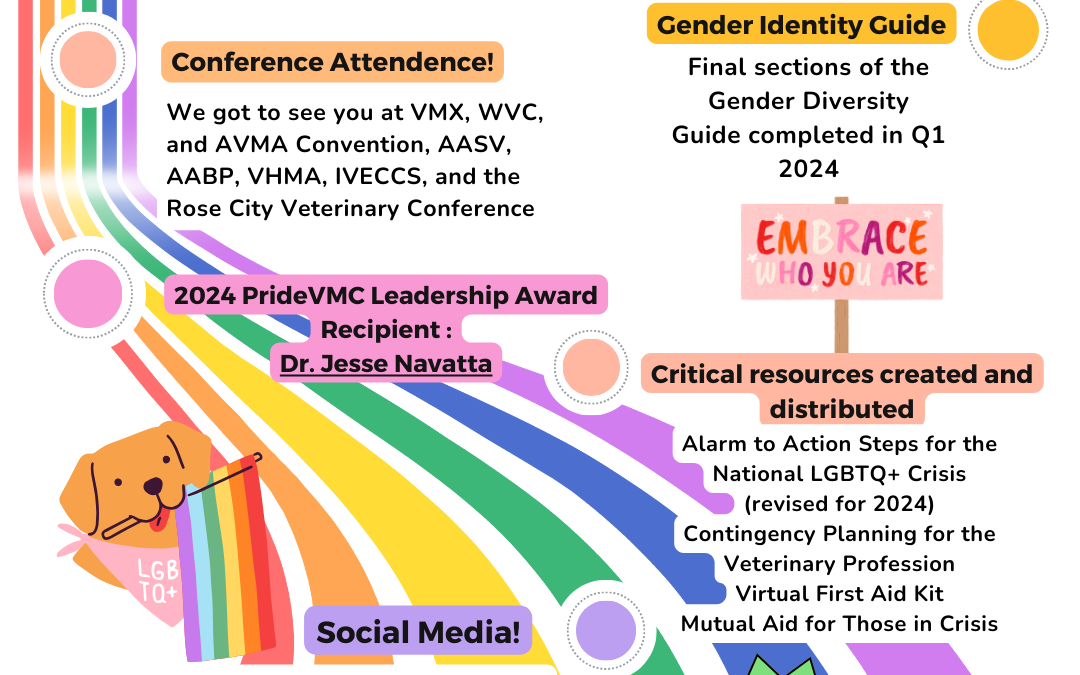 PrideVMC 2024 Annual Impact Report