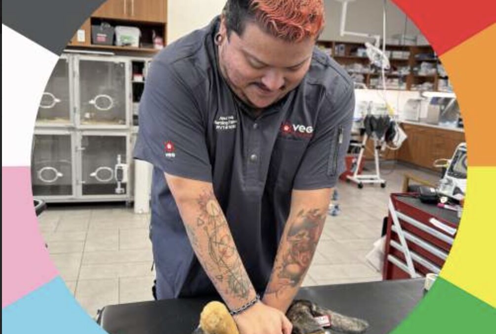 Inclusive Isn’t a Buzzword at VEG — It’s How They Save Lives