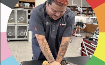 Inclusive Isn’t a Buzzword at VEG — It’s How They Save Lives