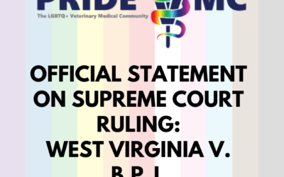Official PrideVMC Position Statement on West Virginia v. B.P.J.